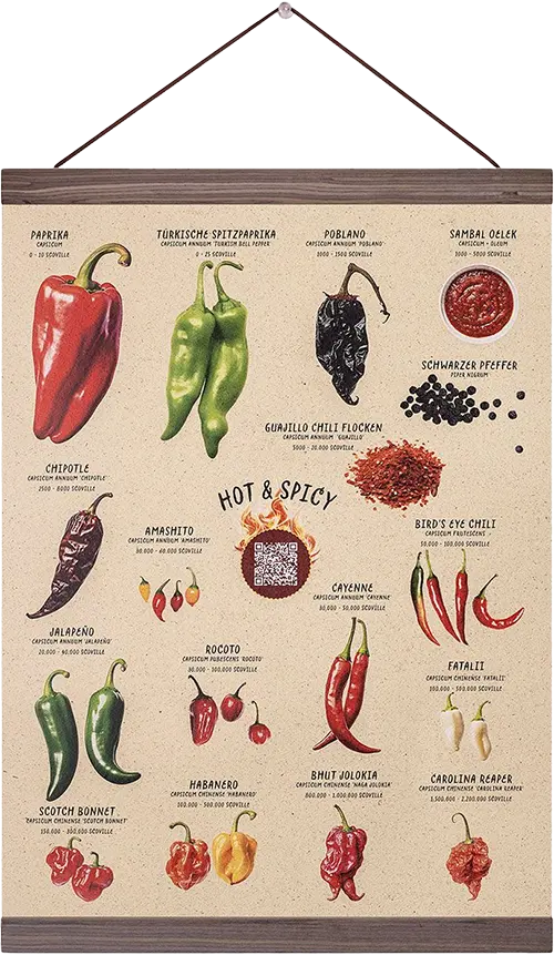 Premium Chili-Sorten Poster A3 mit Rezept-Generator