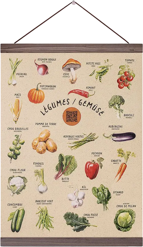Premium Gemüsesorten Poster A3 mit QR-Code Rezepten