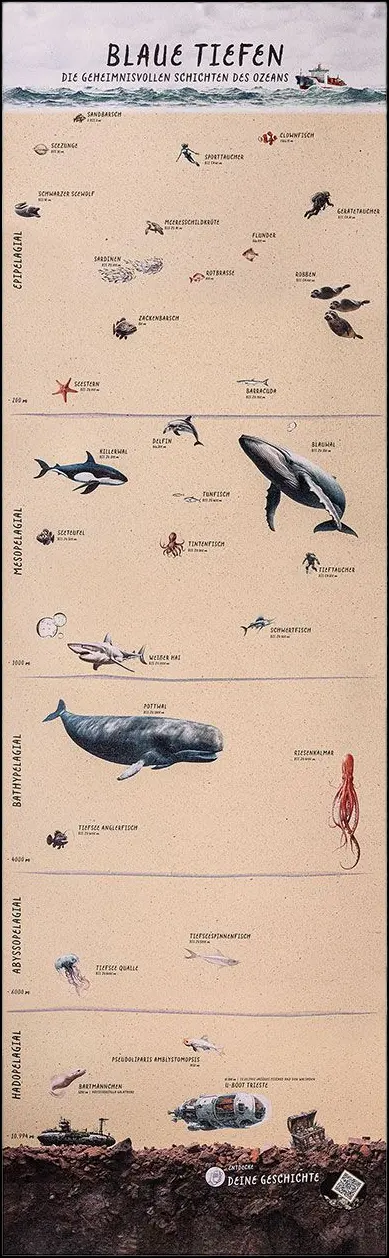 Ozean Entdecker Poster: Blaue Tiefen