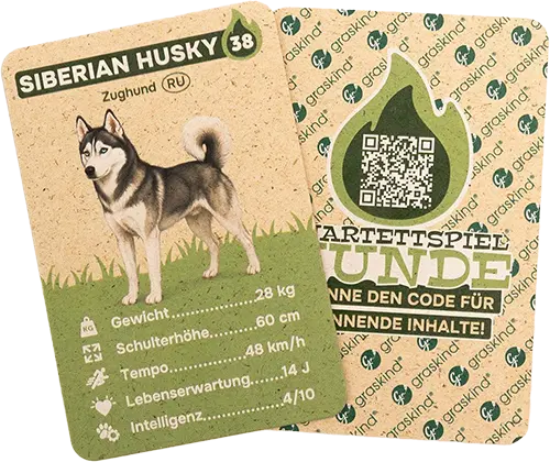 Quartettspiel Hunde: 32 Hunderassen im Trumpf-Duell