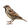 Deine Geschichte mit Spatz